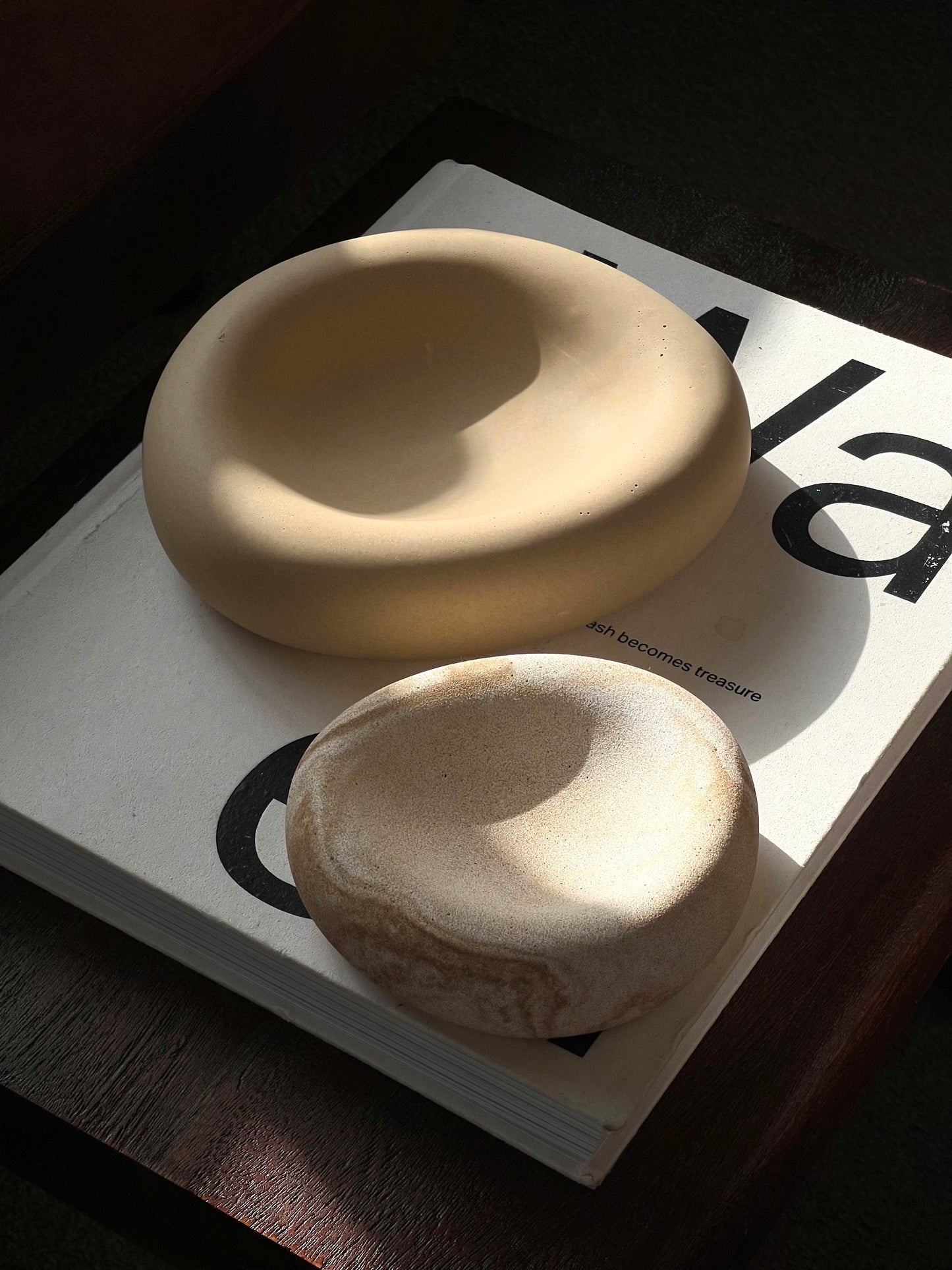 Irregular Dish Pair